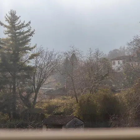 Alma Botanic House *