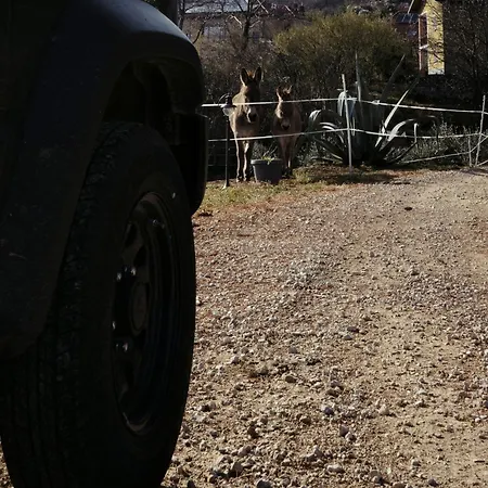 Appartement Alma Botanic House Brissago-Valtravaglia