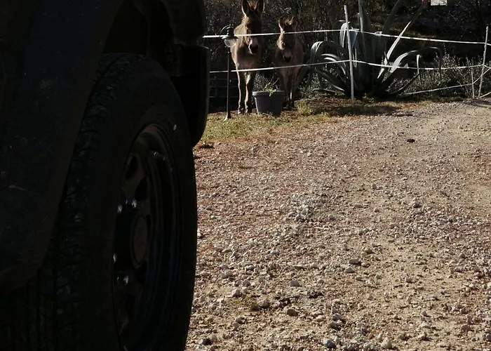 Apartamento Alma Botanic House Brissago-Valtravaglia